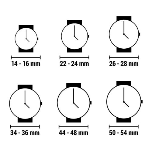 Festina hõbedane naiste käekell