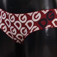 Dolce & Gabbana Mitmevärviline DG Logo Print aluspüksid