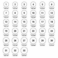 32507_mandatory-ring1.jpg PDPAOLA roosa kullaga hõbesõrmus, suurus 14