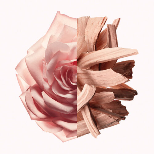 3274872479753_I21.jpg Naiste parfüüm Givenchy Irresistible Nude Velvet EDP 80 ml