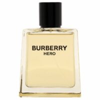 Burberry Hero tualettvesi meestele EDT 100 ml