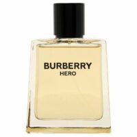 Burberry Hero tualettvesi meestele EDT 100 ml