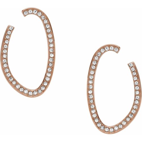 Skagen kuldsed naiste kõrvarõngad SKJ1504791