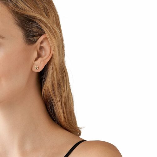 Version 1.0.0 Michael Kors hõbedased naiste kõrvarõngad MKC1727CZ710