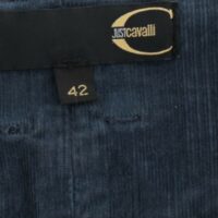 4326566-3.jpg Cavalli Sinine pliiatsseelik