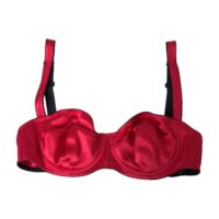 4571412-1.jpg Dolce & Gabbana Bordeaux Silk Stretch Balconcino Bra Underwear