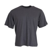 Dolce & Gabbana hall ümara kaelusega lühikeste varrukatega T-särk