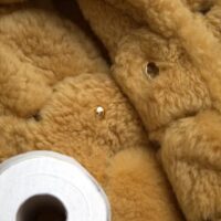 Bottega Veneta Yellow Long Teddy Coat Jacket