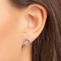 Pandora hõbedast naiste kõrvarõngad 290585CZ