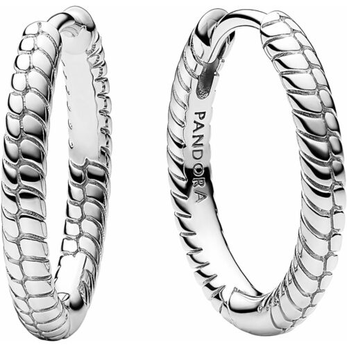 Pandora naiste hõbedast kõrvarõngad 292728C00