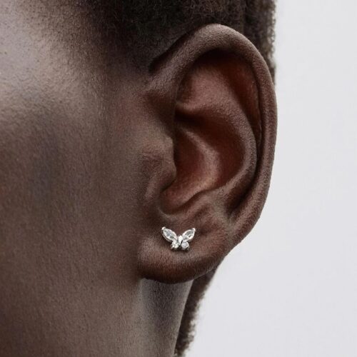 Pandora hõbedased naiste kõrvarõngad 294263C01