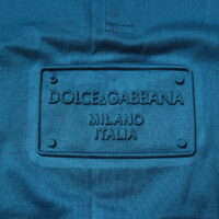 Dolce & Gabbana sinine logoga meeste polosärk