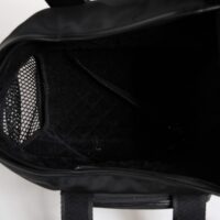 Dolce & Gabbana Must lemmiklooma kandekott logoplaadiga