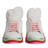 6817295.jpeg Dolce & Gabbana Mitmevärvilised madalad tossud