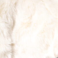 Dolce & Gabbana Valged kõrge vöökohaga lühikesed püksid