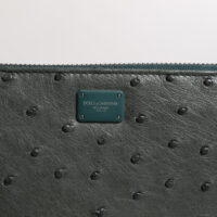 Dolce & Gabbana roheline kontinentaalne rahakott