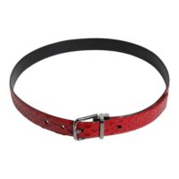 Dolce & Gabbana Red Exotic Brass Metal Buckle Belt