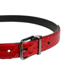 Dolce & Gabbana Red Exotic Brass Metal Buckle Belt