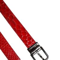 Dolce & Gabbana Red Exotic Brass Metal Buckle Belt