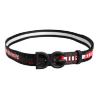 Dolce & Gabbana Must logo trükiga vöö DG pandlaga