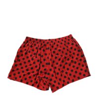 7301076.jpeg Dolce & Gabbana punased täpilised bokserid