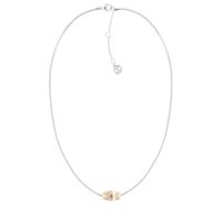 7613272458085_S72101771_P00.jpg Tommy Hilfiger hõbedane naiste kaelakee 2780618