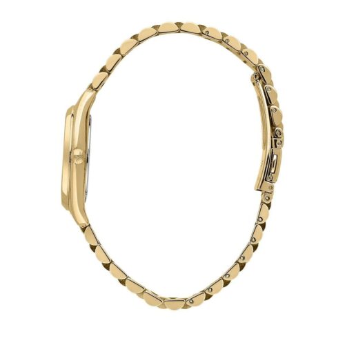 Version 1.0.0 Lucien Rochat naiste käekell R0453120502, roostevaba teras