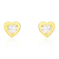 Stroili naiste hõbedased kõrvarõngad 14011221