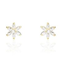 8054372601404_S7278927_P01.jpg Stroili naiste elegantsed kõrvarõngad 14017896