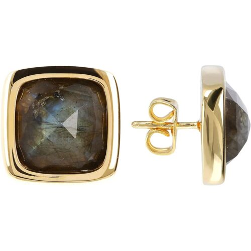 8054704181659_R01.jpg Etrusca kuldsed naiste kõrvarõngad WSET00397YG