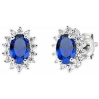 Stiilsed naiste kõrvarõngad Amen