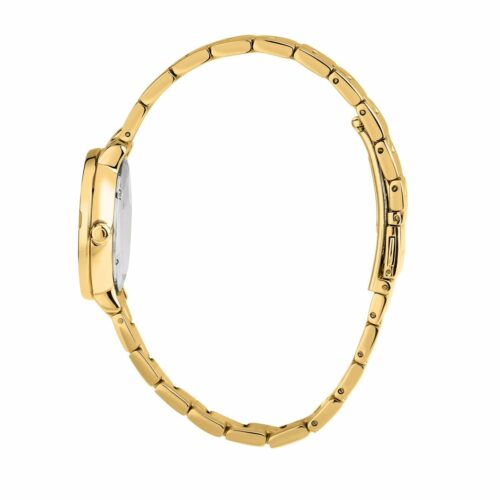 Trussardi kuldne naiste käekell 30 mm 6 Trussardi kuldne naiste käekell 30 mm