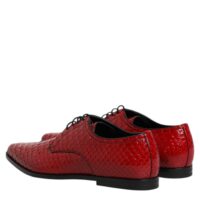 Dolce & Gabbana punased eksootilisest paeltega derbikingad