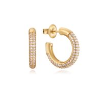 Viceroy 925 hõbedast naiste kõrvarõngad 13132E100-30