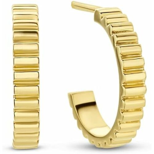 Hõbedased kõrvarõngad New Bling 925 prooviga