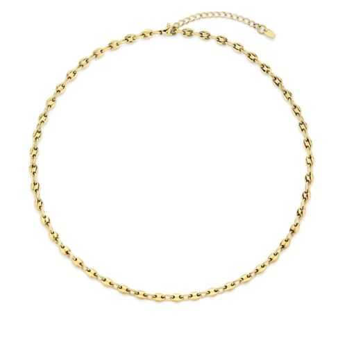 8720916119451_S72111333_P00.jpg CO88 kuldne naiste kaelakee 8CN-26412