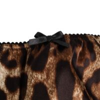 Dolce & Gabbana pruun leopardimustriline siidist keskmise vöökõrgusega aluspesu