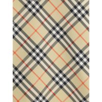 Burberry mitmevärviline mantel