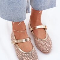 Naiste elegantsed baleriinid sangaga