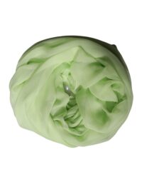 Dolce & Gabbana heleroheline kaelasall stole