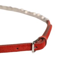 Dolce & Gabbana Punane vöö 11 Dolce & Gabbana Punane vöö