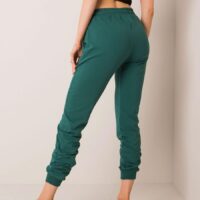 Tracksuit dressipüksid model 161324