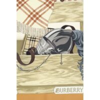 Burberry mitmevärviline sall